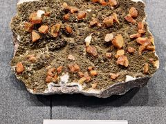 -国家自然博物馆