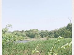 -西湖风景区-江洋畈生态公园