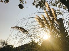 -平湖九龙山旅游度假区