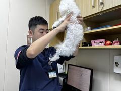 -美联众合爱康动物医院•复杂内科•肿瘤科•牙科•腔镜诊疗中心