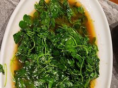 -老绍兴养和饭店(向阳不夜城店)