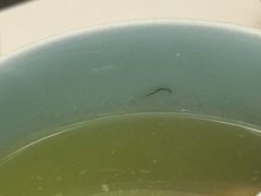 -潮林府私房菜
