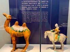 -镇江博物馆