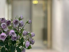 -爱雅仕口腔·数字化矫正中心(国贸门诊)