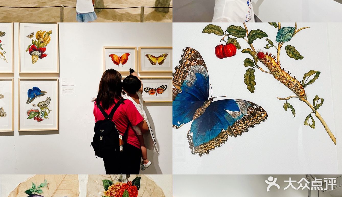 北京带娃看展｜原来这个展不止有大西瓜