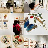 北京带娃看展｜原来这个展不止有大西瓜