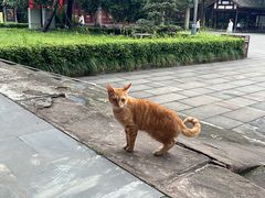 -成都武侯祠博物馆