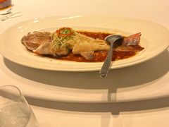 清蒸东星斑-宝燕壹号(徐汇店)