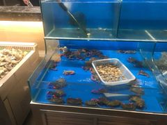 水产区-一九烧烤(莱山区初家店)
