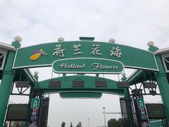 -荷兰花海