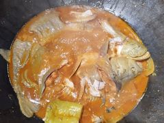 -肥鱼屯活鱼锅(惠工街店)