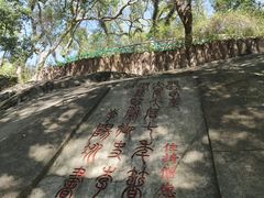 -乌山风景区