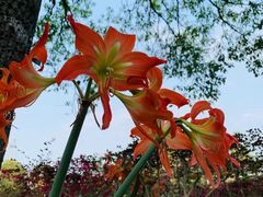 -华南国家植物园-售票处