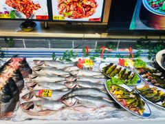 -邵年鸽(杨庄店)