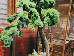 -牛村来人潮汕牛肉火锅(西单店)