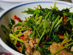 香菜炒牛肉-壹盏灯(蚂蚁工房店)