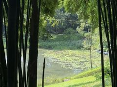 -云溪植物园