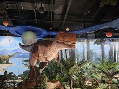 -陕西自然博物馆