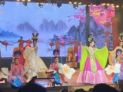 -金东尼人妖秀