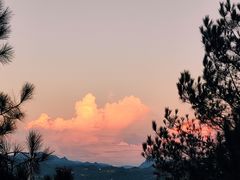 -重庆睡佛山森林公园