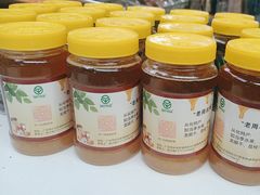 -亲子百果农庄