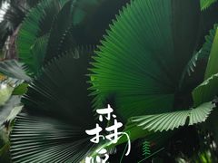 -中国科学院华南植物园