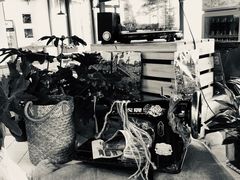 -瓜西西重庆火锅(花溪店)