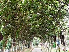 -武汉紫薇都市田园