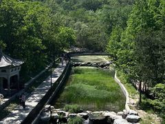 -白水寺森林公园