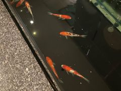 -樱蘭全息养生馆(三里屯店)