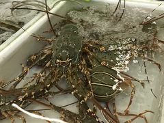 -拉威海鲜市场