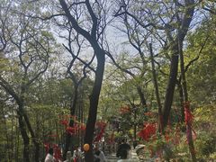 -灵岩山风景区