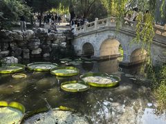 -莲池书院博物馆