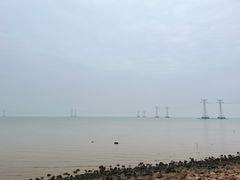 -宝安西湾红树林湿地公园