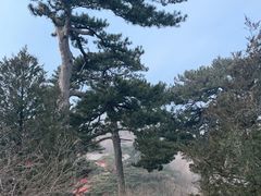 -妙峰山风景名胜区