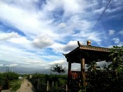-樂桃源奉贤黄桃种植采摘基地
