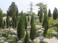 -原山国家森林公园