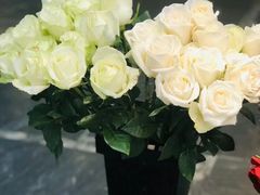 -万商花鸟市场