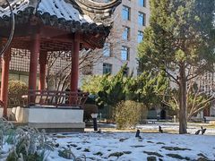 -九献创意菜·牛排馆(亮马河花园店)