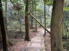 -凤栖山