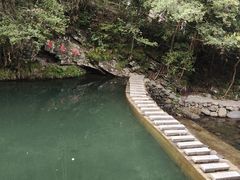 -石台牯牛降景区