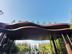 -黄海国家森林公园