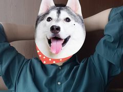 -大锅强·蒸海鲜青岛菜(吾悦广场店)