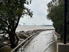 -上海吴淞炮台湾国家湿地公园