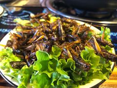 油炸蚂蚱-恋羊时代黑山羊火锅(滨海大道店)