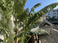 -三亚亚龙湾雅高美爵酒店