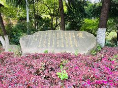 -杭州基督教会崇一堂