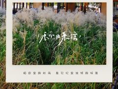 -左邻右舍褡裢火烧(石榴园店)