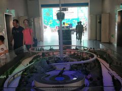 -陕西自然博物馆