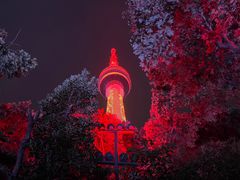 -龟山风景区-龟山电视塔